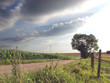 Paysage tourmenté