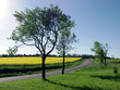 Les hauts de hurle-vent