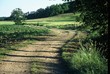 Un chemin Auvergnat