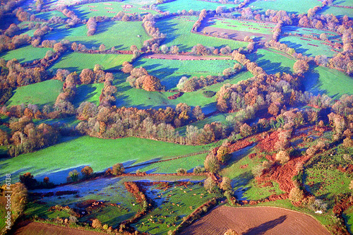 Bocage vendéen