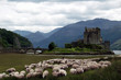 château en ecosse