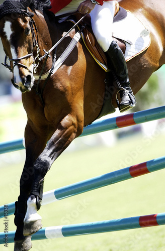 Photo: jumping design jumping design