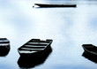 barques
