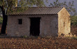 provence