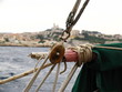 voile sur la bonne mère