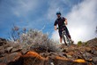 vtt