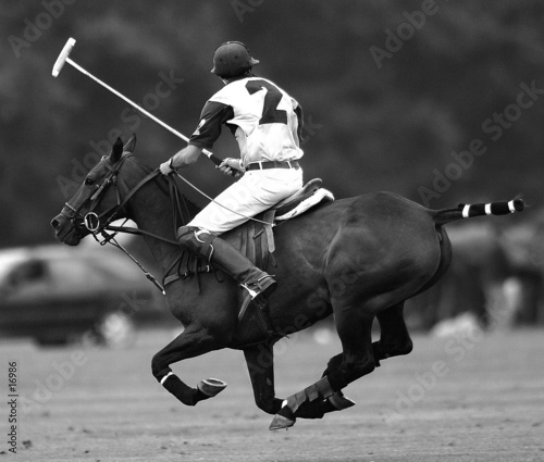 Photo: open de france open de france