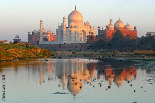 taj