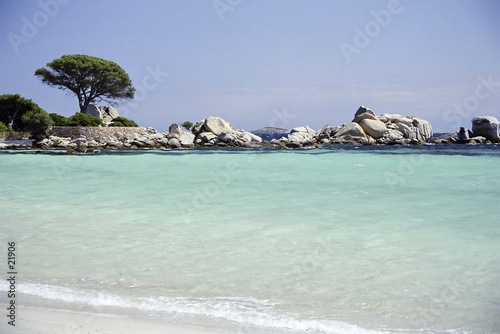 tamariccio
