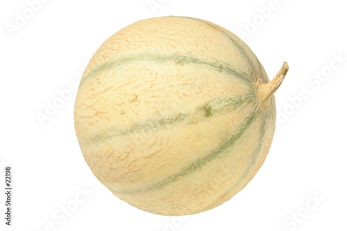 melon détouré (2e)