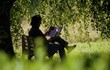 la lecture