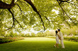 a kiss under the tree