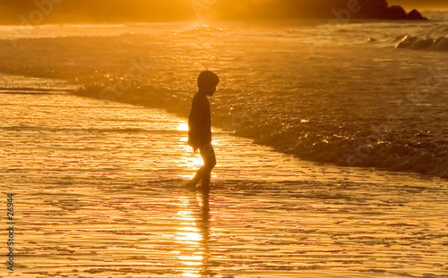 beach boy