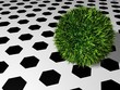 soccerball