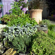 herb garden