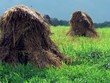 haystacks 4
