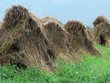 haystacks 6