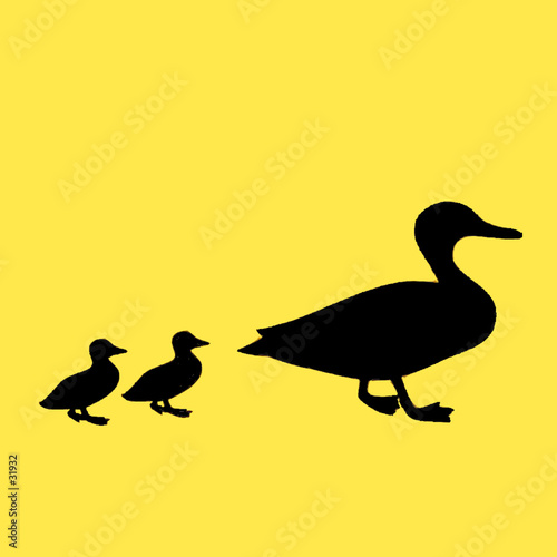 mother and two baby ducks