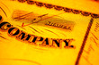 company share