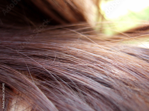 fibre de cheveux