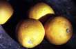 four oranges sitting on an old table with peeling blue paint