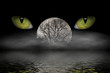 the watcher