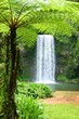 millaa millaa falls
