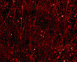 texture 2