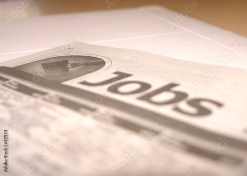 job search