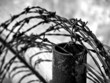barbed wire barbed wire