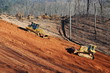 clearing land clearing land