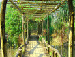thai jungle