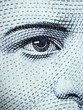 bank note detail