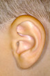 ear