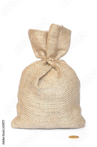 bag and coin