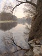 early morning at the river in tartu, estonia