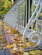 angel's bridge in tartu, estonia