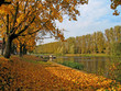 autumn view at the river in tarru, estonia