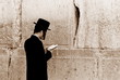 jew is praying by the western wall, jerusalem jew is praying by the western wall, jerusalem