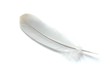 feather