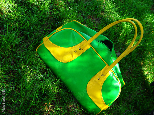 Photo: green summer bag on grass green summer bag on grass