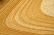 sandstone surface sandstone surface