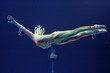 equilibriste