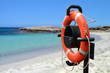 beach life saver