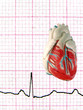 real ekg with model heart