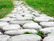 garden path