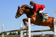 Image : cheval d\'obstacle