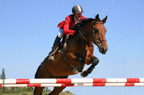 cheval jumping