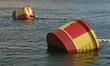 berthing flanks