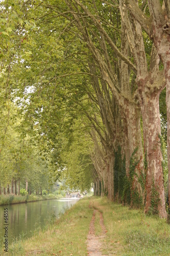 au bord du canal